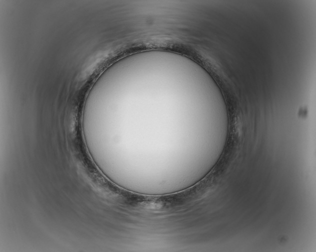 X0000116310687200912211923