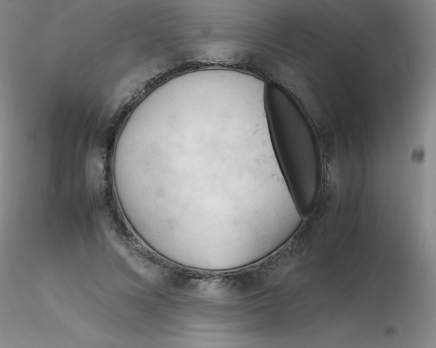 X0000116310688200912211923