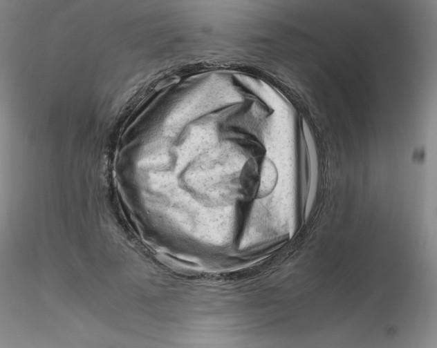 X0000116310689200912211923