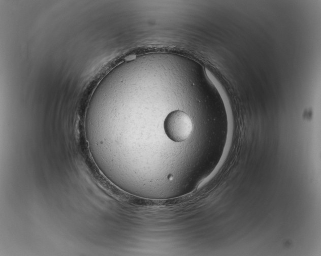 X0000116310692200912211923