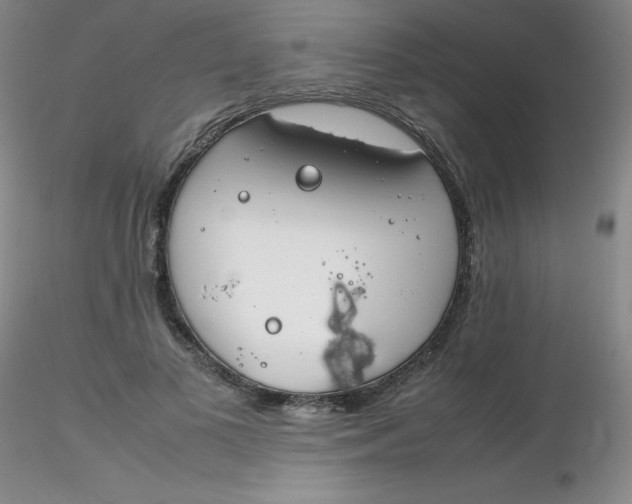 X0000116310693200912211923