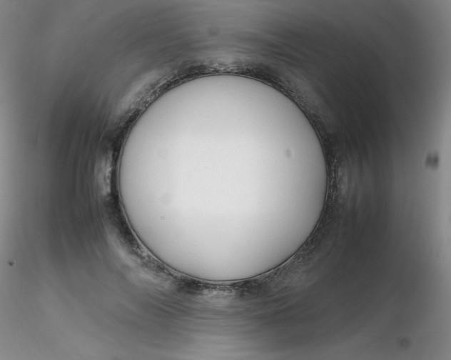 X0000116310694200912211923