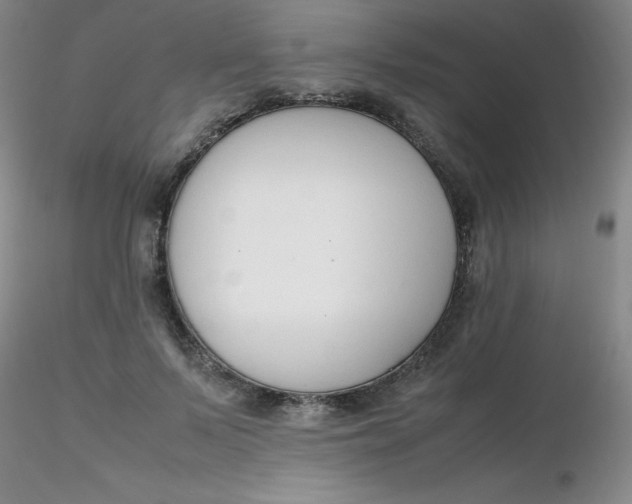 X0000116310695200912211923