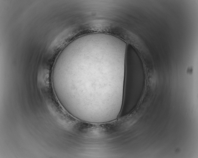 X0000116310696200912211923