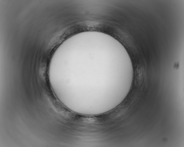 X0000116310698200912211922