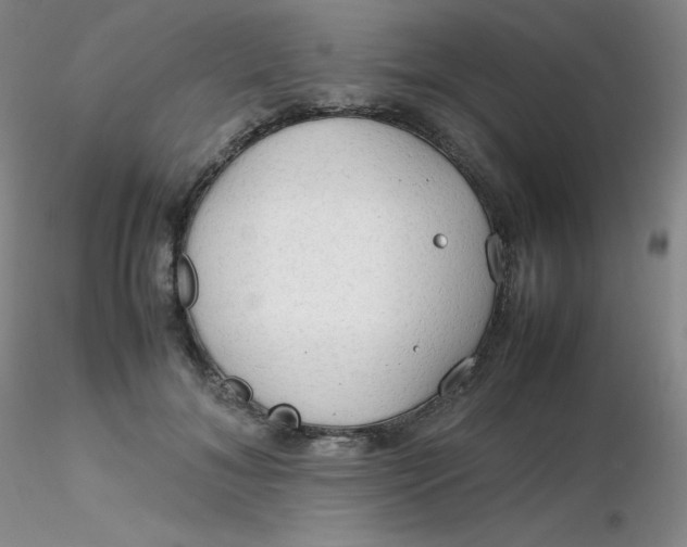 X0000116310700200912211922