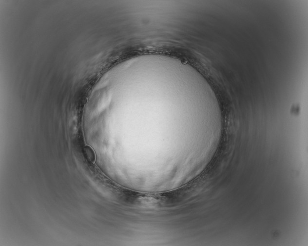 X0000116310703200912211922