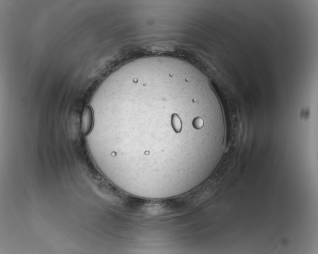 X0000116310704200912211922