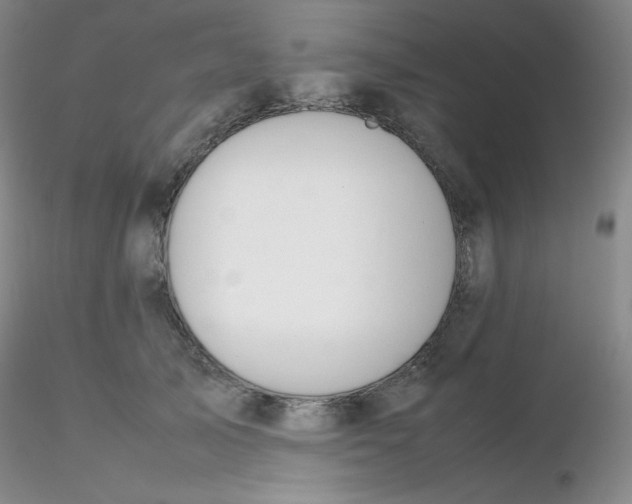 X0000116310705200912211922