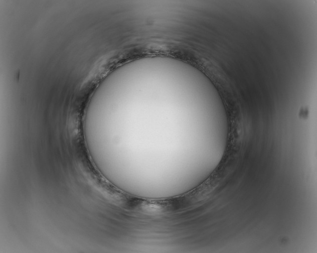 X0000116310706200912211922