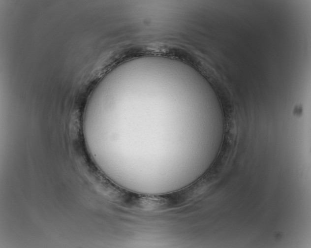 X0000116310707200912211922