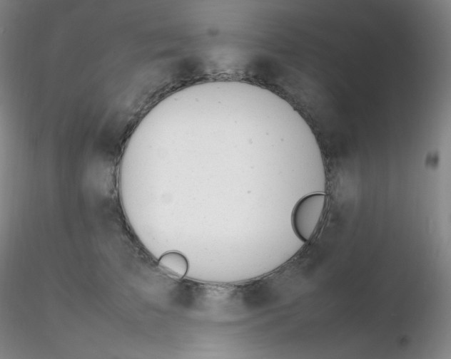 X0000116310709200912211922