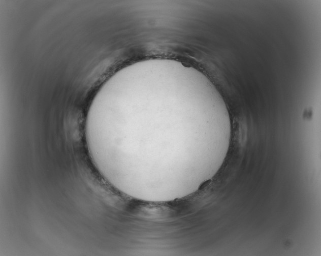 X0000116310712200912211922