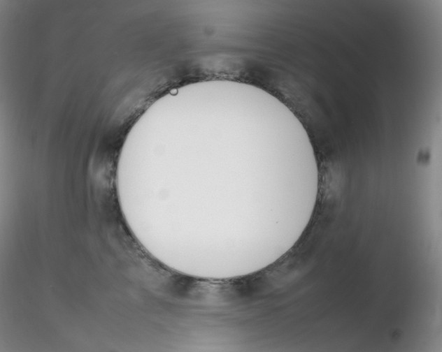 X0000116310713200912211922