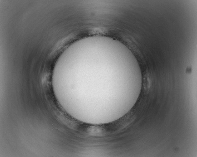 X0000116310714200912211922