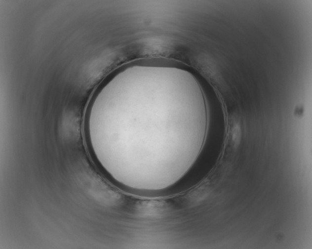 X0000116310716200912211922