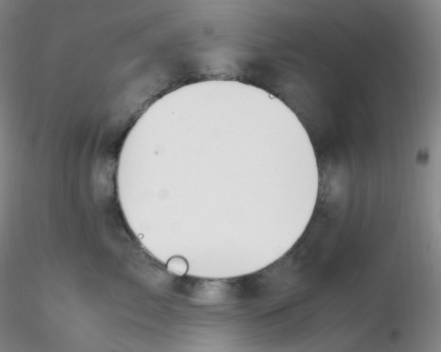 X0000116310717200912211922