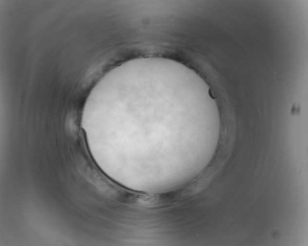 X0000116310720200912211922