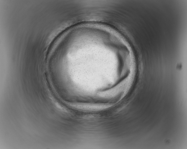 X0000116310721200912211922