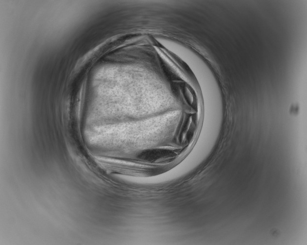 X0000116310722200912211922