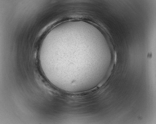 X0000116310723200912211922