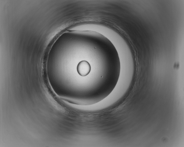 X0000116310725200912211922