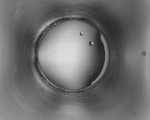 X0000116310726200912211922