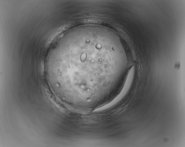 X0000116310729200912211922