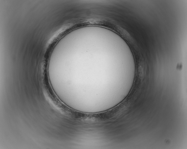 X0000116310730200912211922