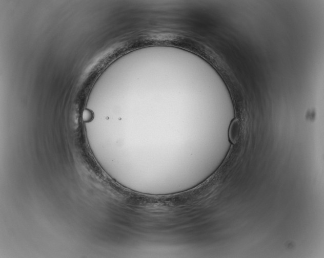 X0000116310731200912211922