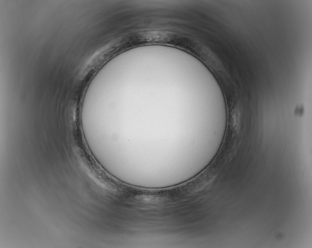 X0000116310733200912211922