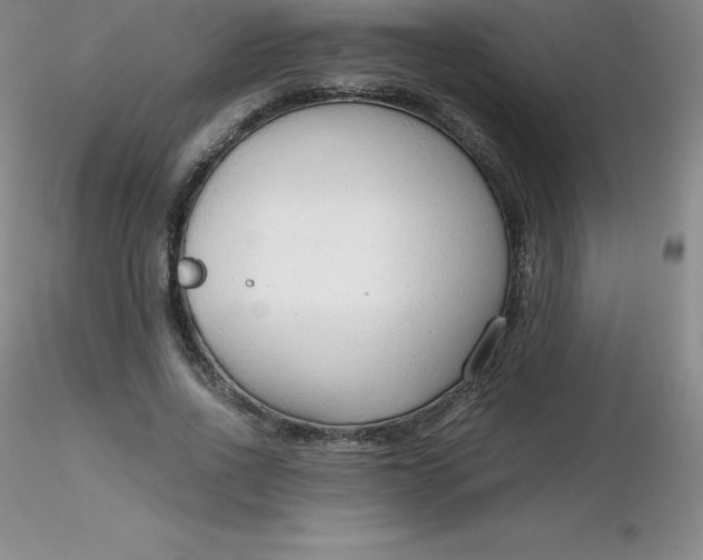 X0000116310734200912211922