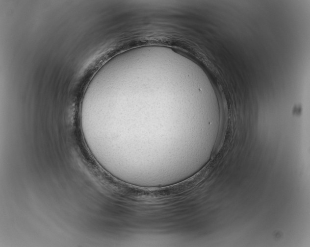 X0000116310735200912211922