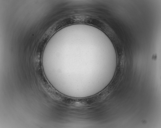 X0000116310737200912211922