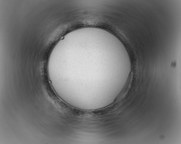 X0000116310738200912211922