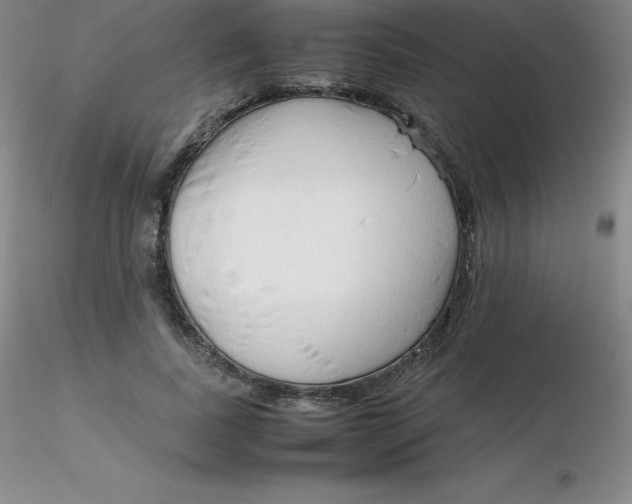 X0000116310739200912211922