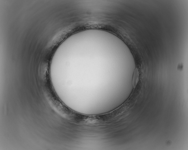 X0000116310742200912211922