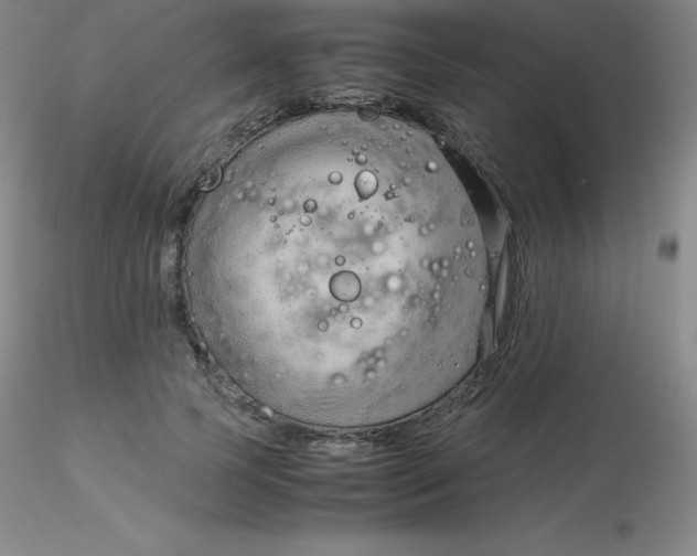 X0000116310745200912211922