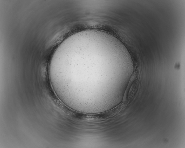 X0000116310746200912211922