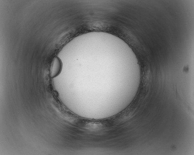 X0000116310749200912211922