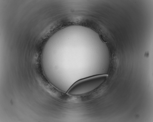 X0000116310750200912211922