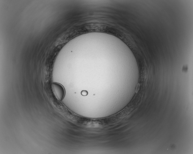 X0000116310751200912211922