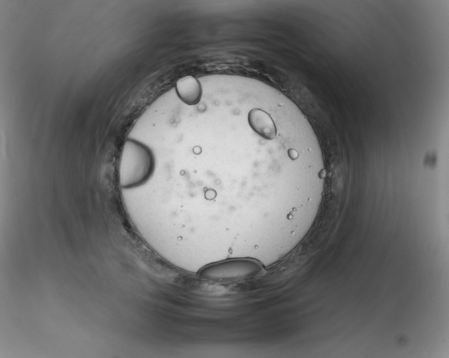 X0000116310753200912211922