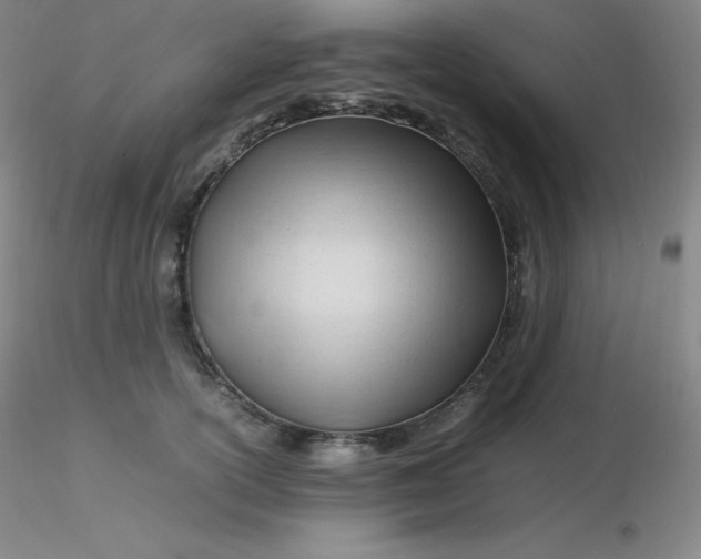 X0000116310754200912211922