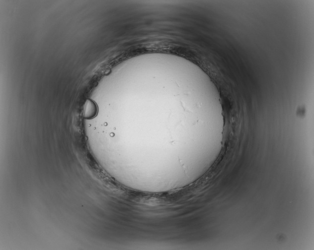 X0000116310755200912211922