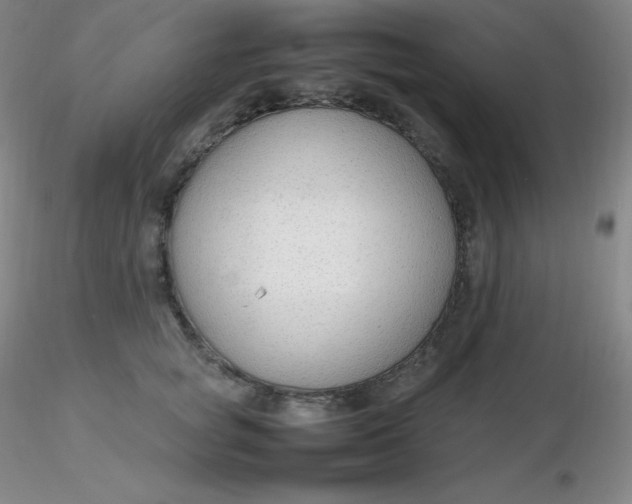 X0000116310757200912211922