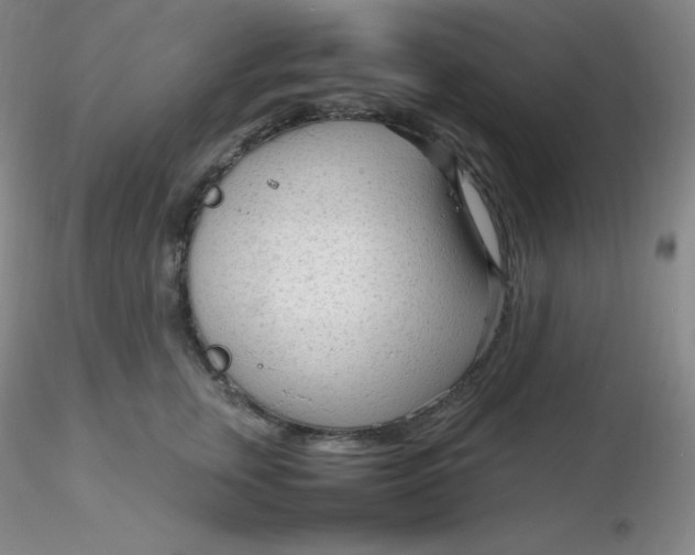 X0000116310759200912211922