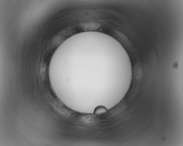 X0000116310761200912211922