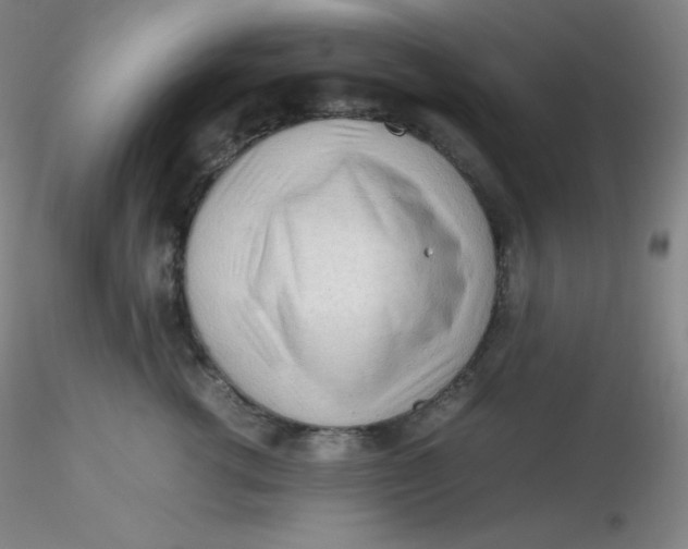 X0000116310762200912211922