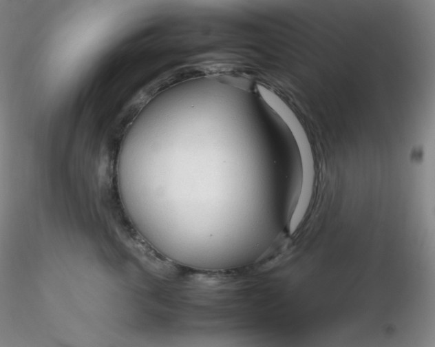 X0000116310763200912211922